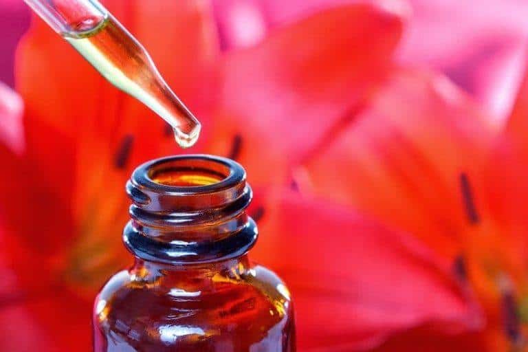 A flower essence dropper and bottle with a red flower for a background.