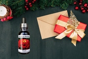 Christmas layout with a red and gold wrapped gift, and a flower essence bottle