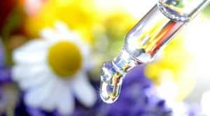Dropper dropping essence in the sunlight with a blurred chamomile flower in the background