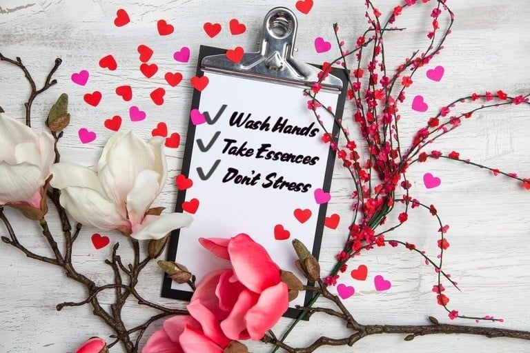 Clipboard surrounded by flowers, paper on clipboard says, "Wash hands, take essences, don't stress