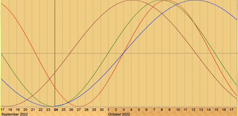 Biorhythm chart depiction