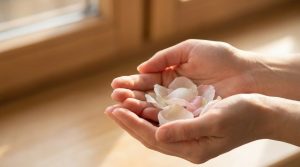 Cupped hands holding pale flower petals in warm natural light, evoking the emotional roots of psoriasis