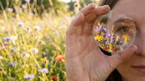 The Emotional and Spiritual Roots of Astigmatism banner